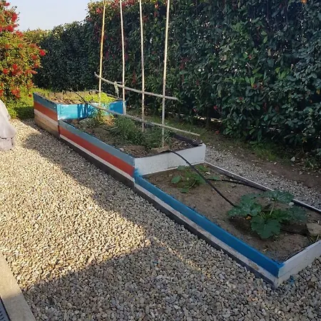 F3 Avec Grand Jardin Casa Biguglia *